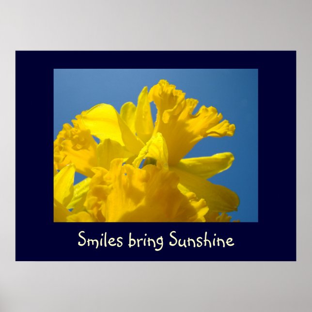 Smiles för att ta solfärgsutskrifter presenterar D Poster (Framsidan)