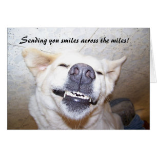 Smiles över Miles Card Hälsningskort