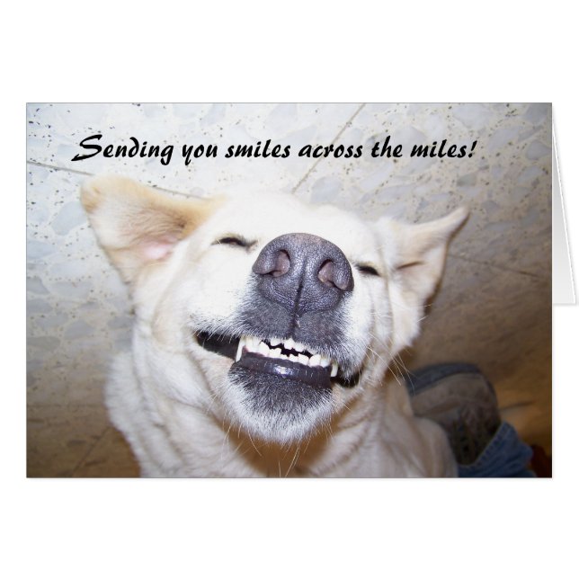 Smiles över Miles Card Hälsningskort (Framsidan Horizontal)