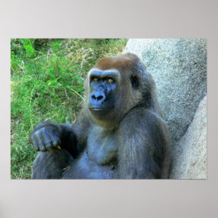 Smiling Ape Poster
