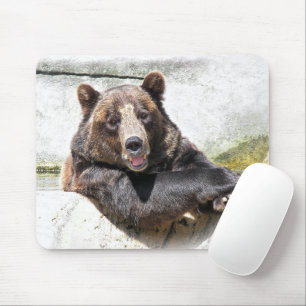 Smiling Brown Bear Musmatta