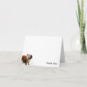 Smiling Bulldog Tack Kort