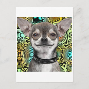Smiling Chihuahua Hund Vykort