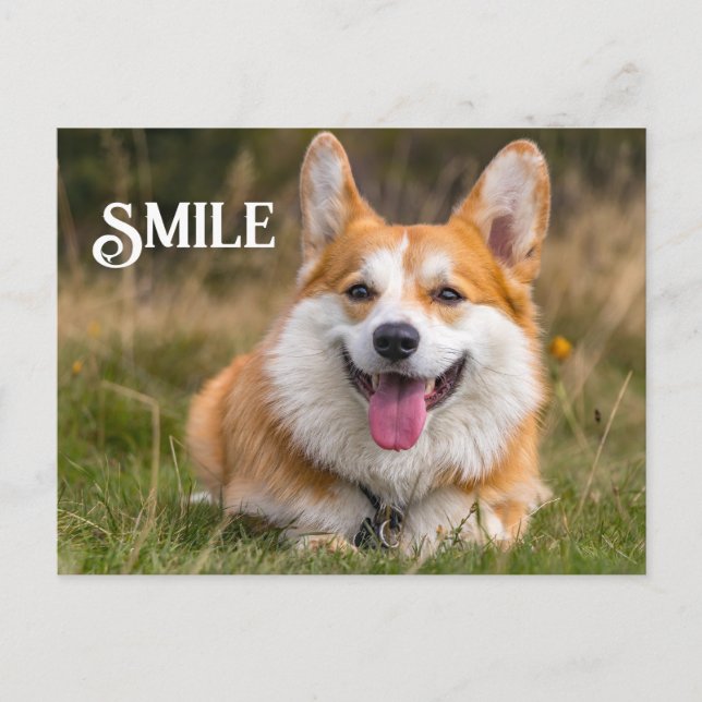 Smiling Corgi Hund Funny Animal Smile Vykort (Framsida)