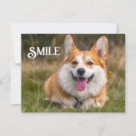 Smiling Corgi Hund Funny Animal Smile Vykort