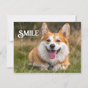 Smiling Corgi Hund Funny Animal Smile Vykort