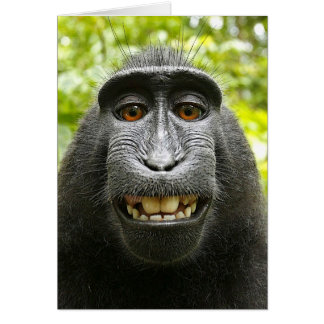 Smiling Crested Celebes Macaque Hälsningskort