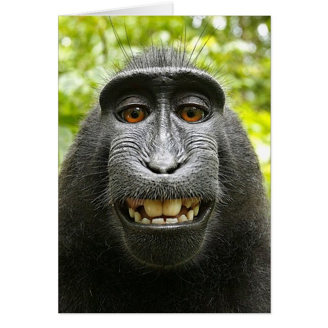 Smiling Crested Celebes Macaque Hälsningskort (Framsidan)