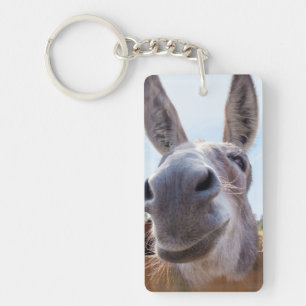 Smiling Donkey