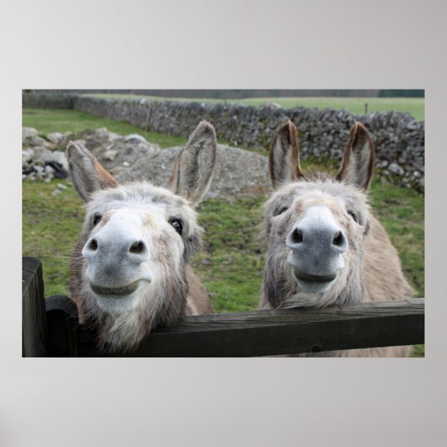 Smiling Donkey Poster (Framsidan)