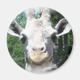 Smiling Giraffe Magnet