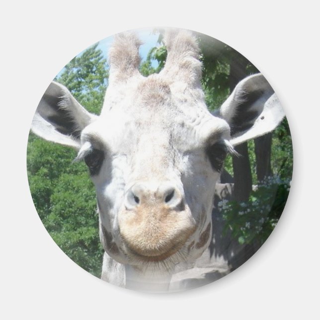 Smiling Giraffe Magnet (Framsidan)