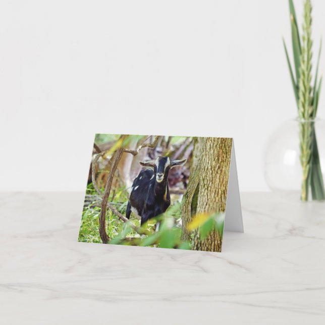 Smiling Goat Kort (Framsida)