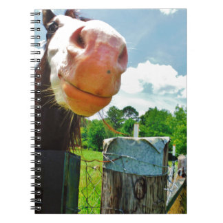 Smiling Horse Anteckningsbok