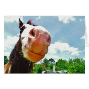 Smiling Horse Hälsningskort