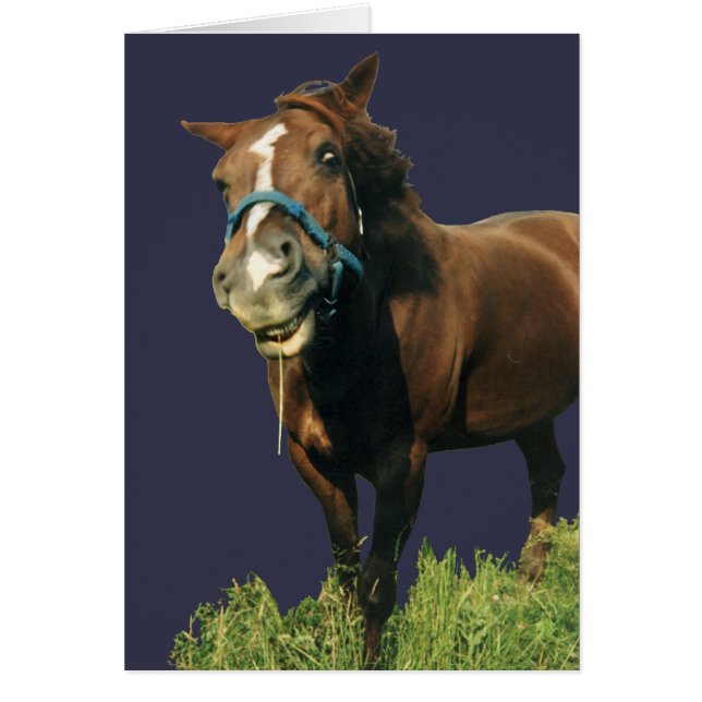 Smiling Horse Hälsningskort (Framsidan)