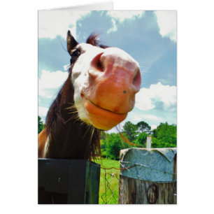 Smiling Horse Hälsningskort