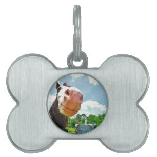 Smiling Horse ID-bricka Husdjur