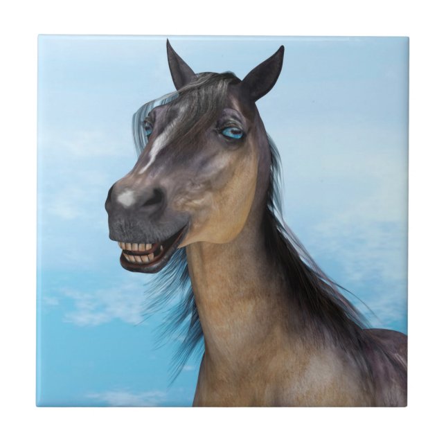 Smiling Horse Kakelplatta (Framsidan)