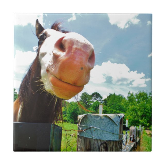 Smiling Horse Kakelplatta (Framsidan)