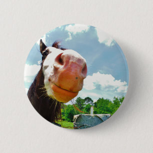 Smiling Horse Knapp