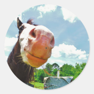 Smiling Horse Runt Klistermärke