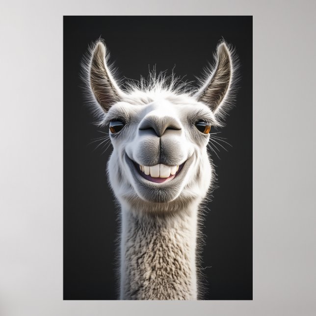 Smiling Llama Close Up Poster (Framsidan)