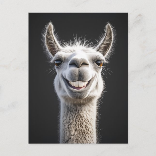 Smiling Llama Close Up Vykort (Framsida)