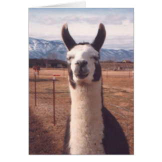 ’Smiling Llama’ OBS Kort