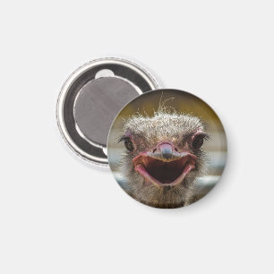 Smiling Ostrich Ansikte Magnet