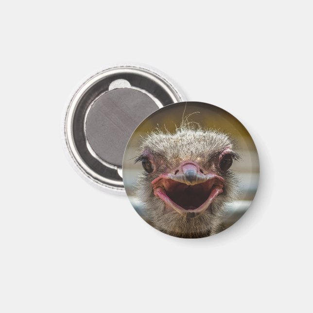 Smiling Ostrich Ansikte Magnet (Front/Back)