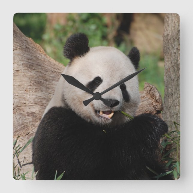 Smiling Panda Bear Fyrkantig Klocka (Framsida)
