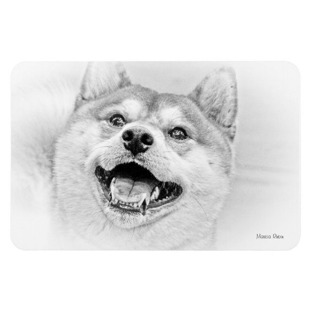 Smiling Shiba Inu hund Magnet (Horisontell)