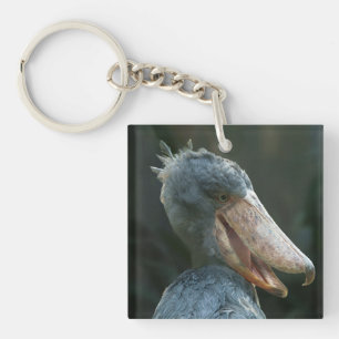 Smiling Shoebill