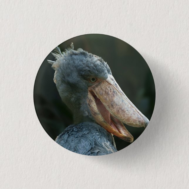 Smiling Shoebill Knapp (Framsida)