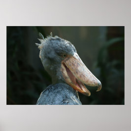 Smiling Shoebill Poster