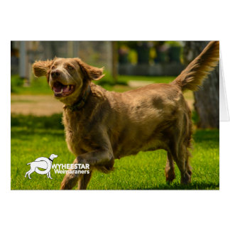 Smiling Stackhouse Hälsningskort