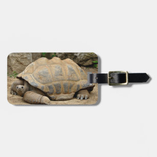 Smiling Tortoise Bagagebricka