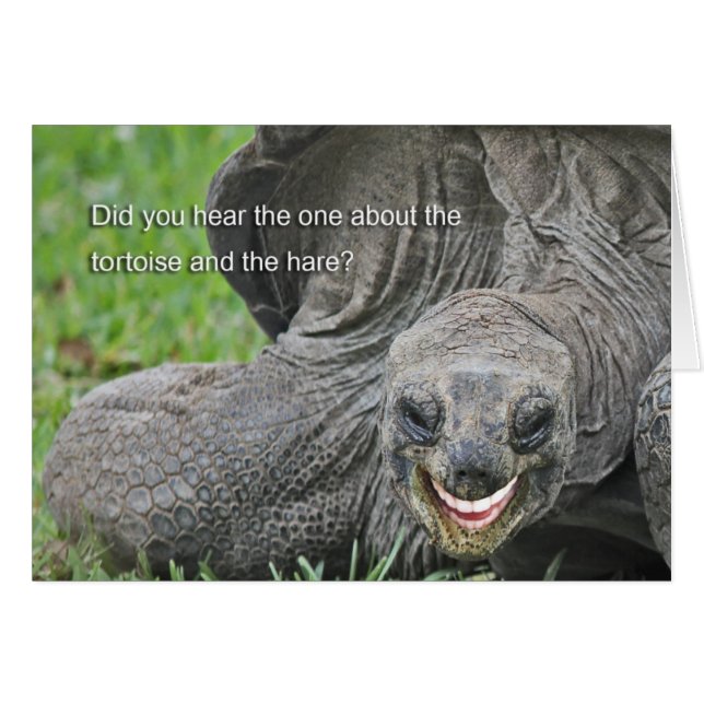 Smiling Tortoise Joke OBS Kort (Framsidan Horizontal)