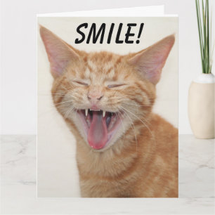 SMILNINGSCENTRAR FÖR GINGER CAT GRATTIS PÅ FÖDELSE KORT