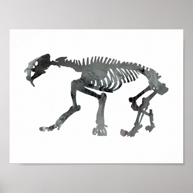 Smilodon skeleton poster (Framsidan)
