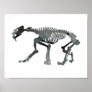 Smilodon skelett poster