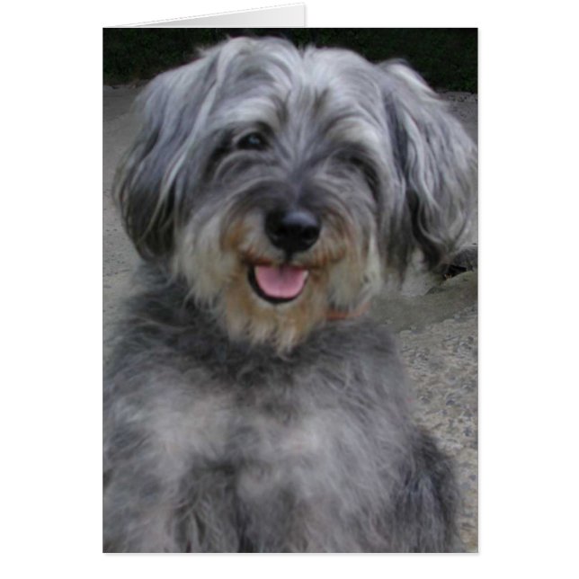 Smilt! Hälsningskort (Framsidan)