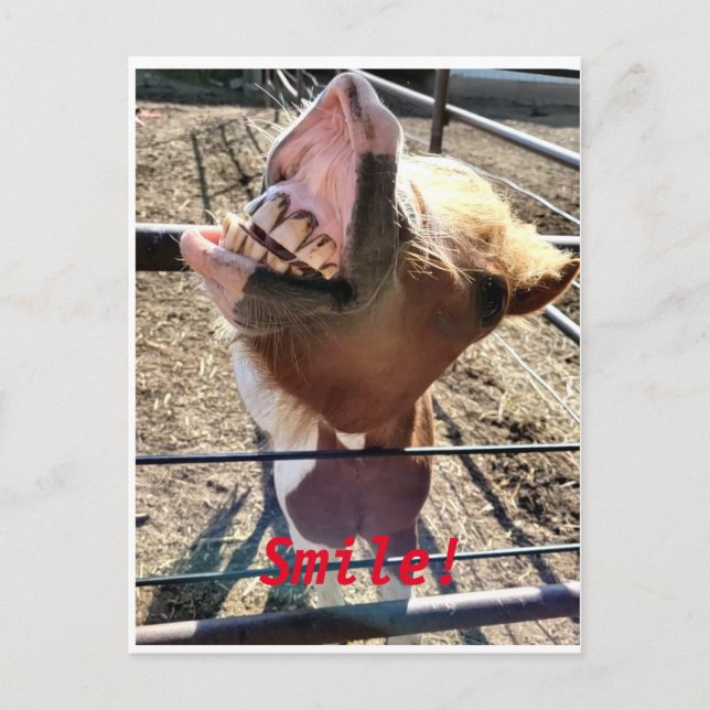 Smilt! Vykort (Framsida)