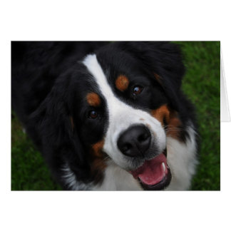 smily ansikte hälsningskort