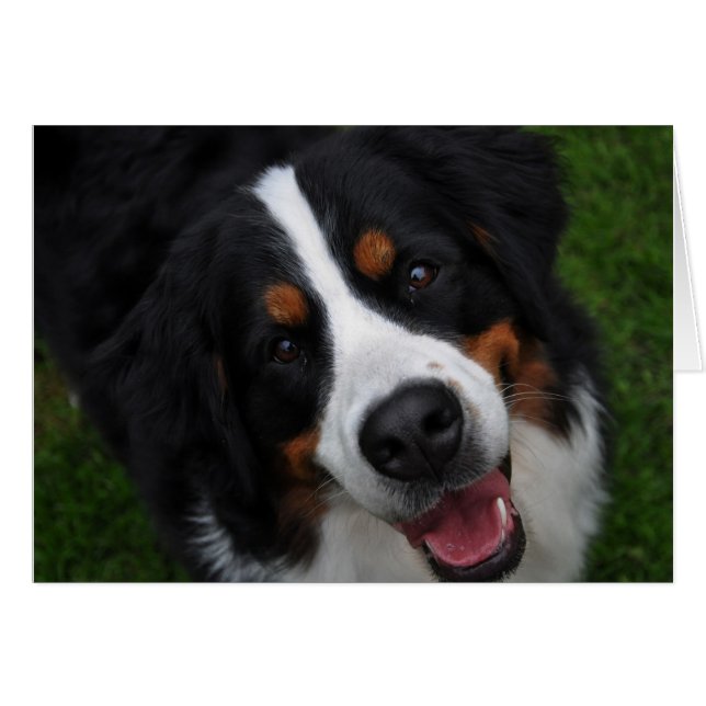 smily ansikte hälsningskort (Framsidan Horizontal)