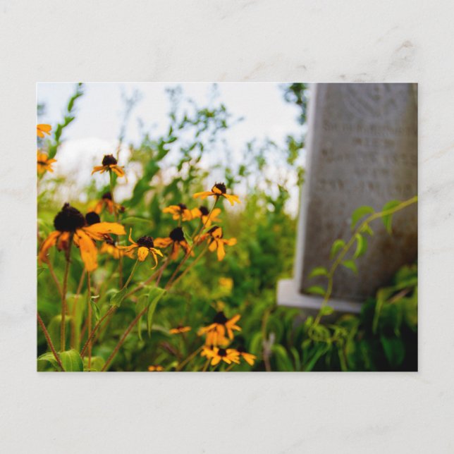 Smith Cemetery Nature Preserve, Ohio Vykort (Framsida)