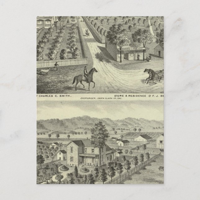 Smith, Herman-bostad, butik Vykort (Framsida)