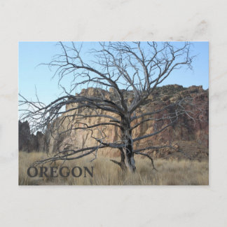 Smith Sten Sten Vykort