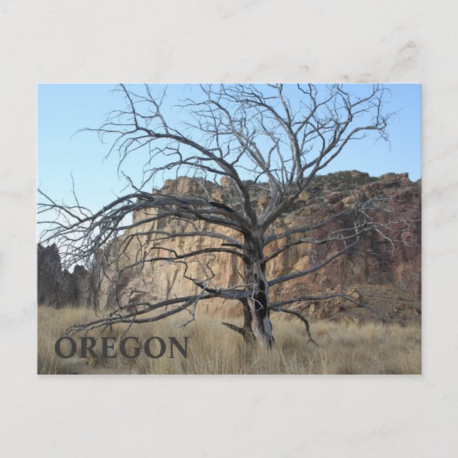 Smith Sten Sten Vykort (Framsida)